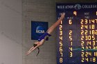 Women's Diving  Wheaton College Women’s Diving vs Mount Holyoke College. - Photo by Keith Nordstrom : Wheaton, Swimming & Diving